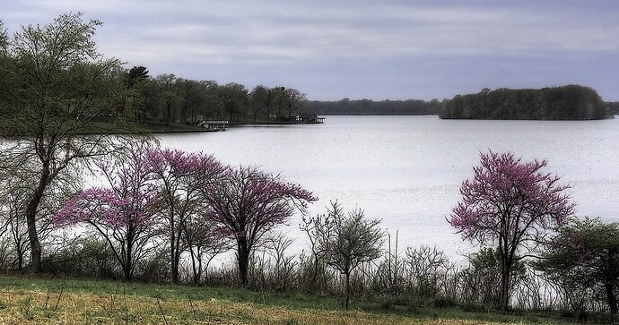 Lincoln Memorial Gardens_resize